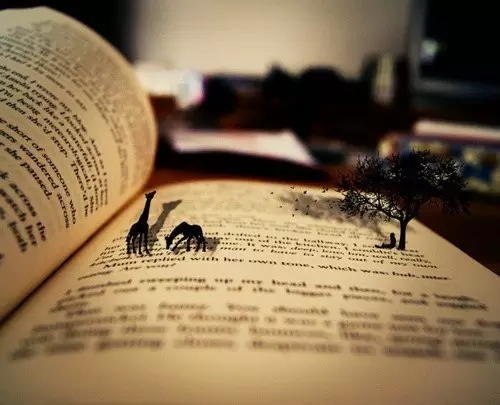 1560389335218439.jpg 640.webp.jpg